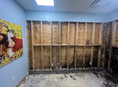 Mold Remediation in Lakeland, FL (1)