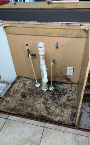 Mold Remediation in Lakeland, FL (2)