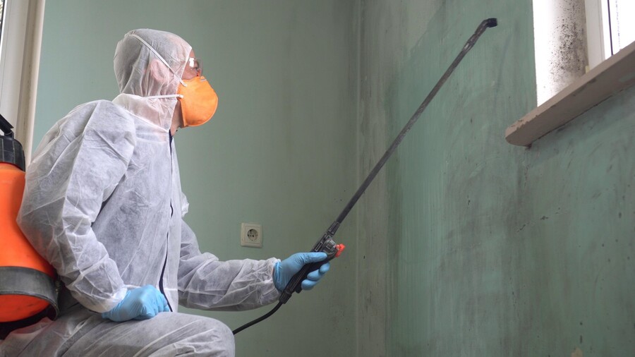 Mold Remediation by EPS Home Solutions LLC
