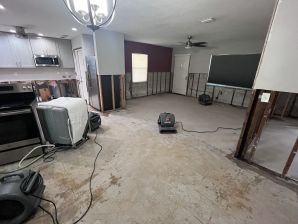 Water Damage restoration in Lakeland, FL (9)