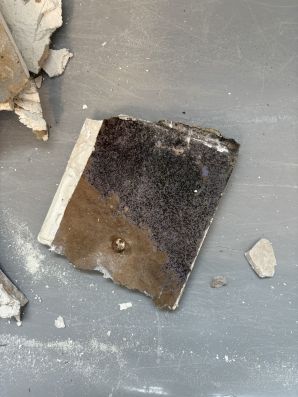 Mold Testing & Remediation in Brandon, FL (1)