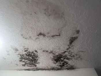 Mold Testing & Remedation in Brandon, Florida by EPS Home Solutions LLC