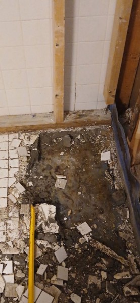 Water Damage Restoration in Plant City, FL (1)